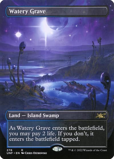 Watery Grave UNF-278 Unfinity Magic card
