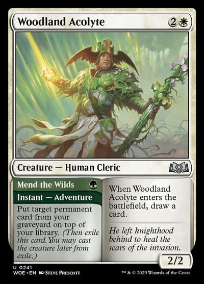 Woodland Acolyte // Mend the Wilds 241 Wilds of Eldraine Magic card